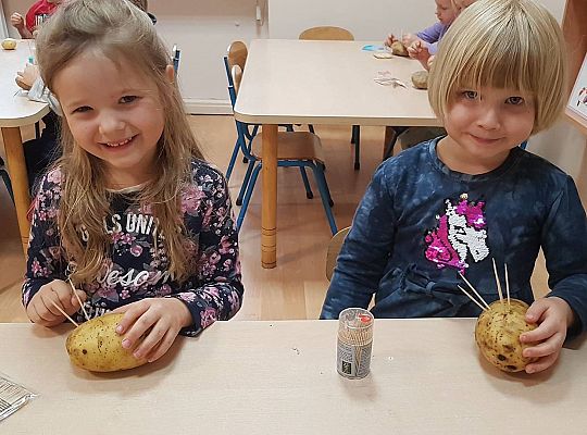 Gr II Czy wy może o tym wiecie ,że jeż kolce ma na grzbiecie?