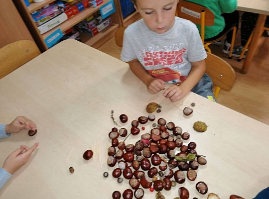 GR IV Ludziki z kasztanów