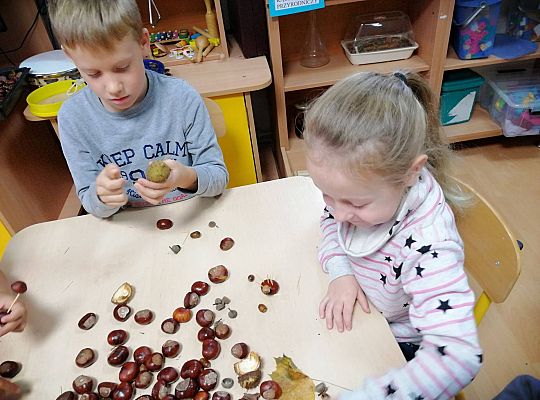 GR IV Ludziki z kasztanów