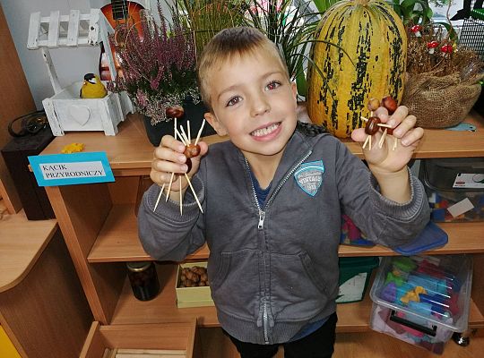 GR IV Ludziki z kasztanów