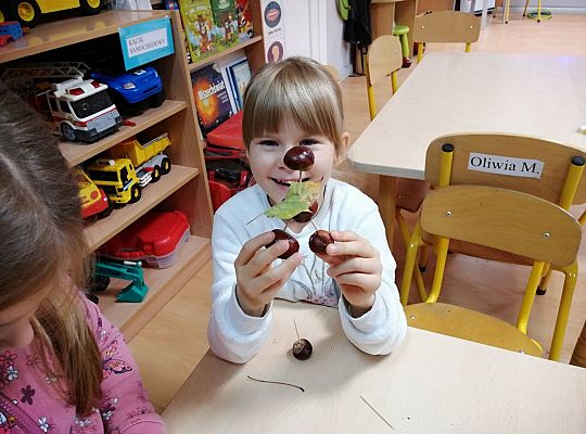 GR IV Ludziki z kasztanów