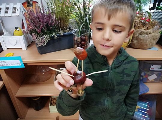 GR IV Ludziki z kasztanów