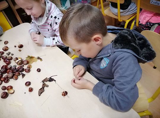 GR IV Ludziki z kasztanów