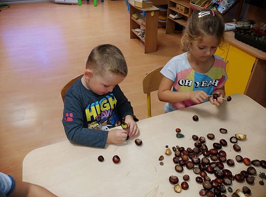 GR IV Ludziki z kasztanów