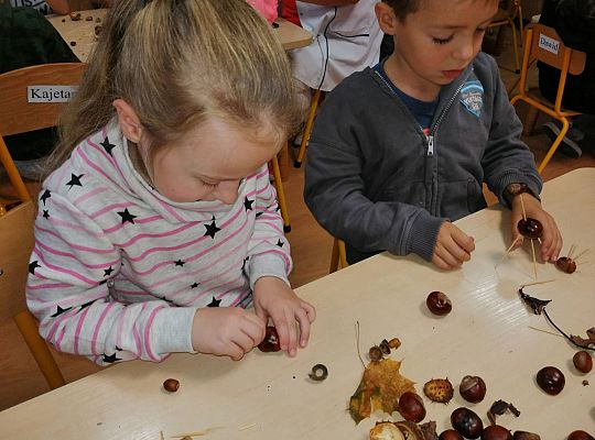 GR IV Ludziki z kasztanów