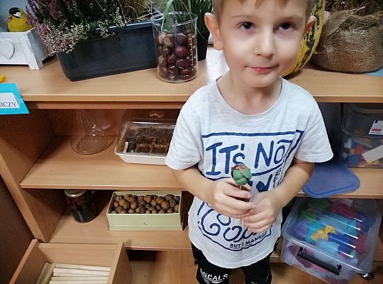 GR IV Ludziki z kasztanów