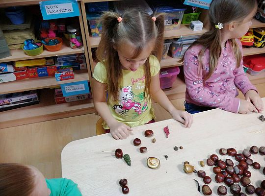 GR IV Ludziki z kasztanów