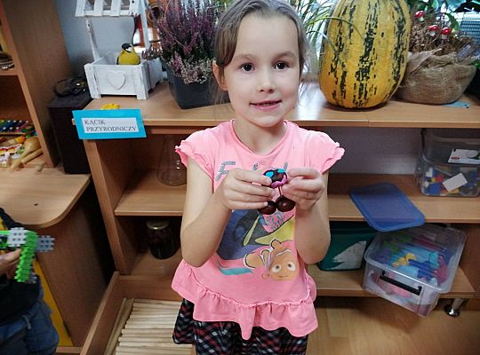 GR IV Ludziki z kasztanów