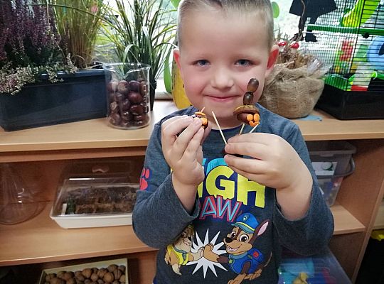 GR IV Ludziki z kasztanów