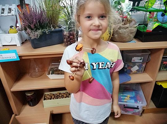 GR IV Ludziki z kasztanów