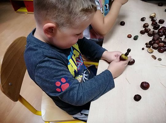 GR IV Ludziki z kasztanów