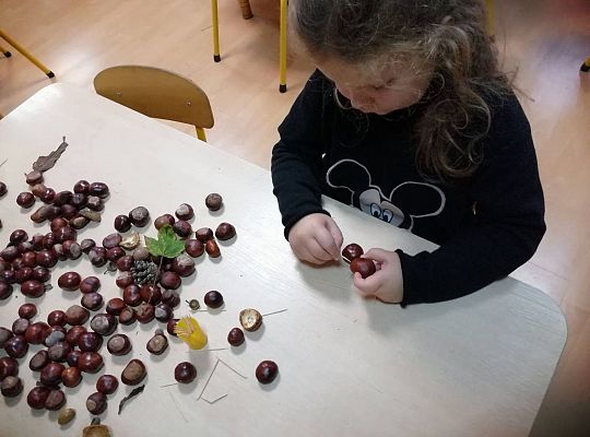 GR IV Ludziki z kasztanów