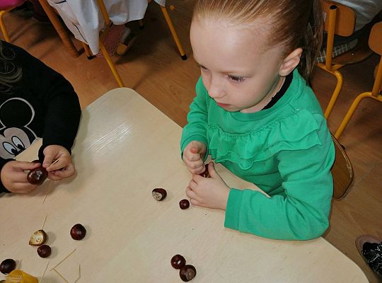 GR IV Ludziki z kasztanów