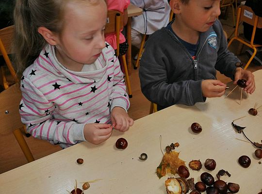 GR IV Ludziki z kasztanów