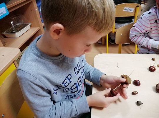 GR IV Ludziki z kasztanów