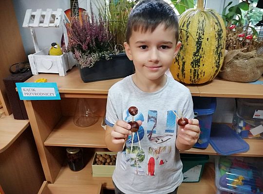 GR IV Ludziki z kasztanów