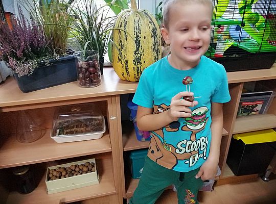 GR IV Ludziki z kasztanów