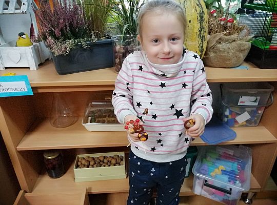 GR IV Ludziki z kasztanów