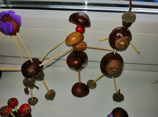 GR IV Ludziki z kasztanów