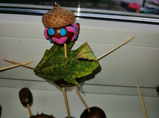 GR IV Ludziki z kasztanów