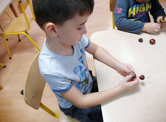 GR IV Ludziki z kasztanów