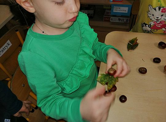 GR IV Ludziki z kasztanów