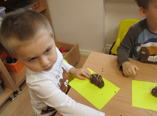 Gr I Jeżyk z masy solnej