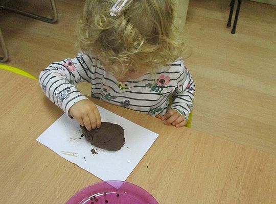 Gr I Jeżyk z masy solnej