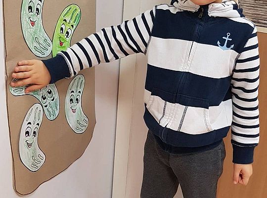 Gr II Ogórek, ogórek zielony ma garniturek