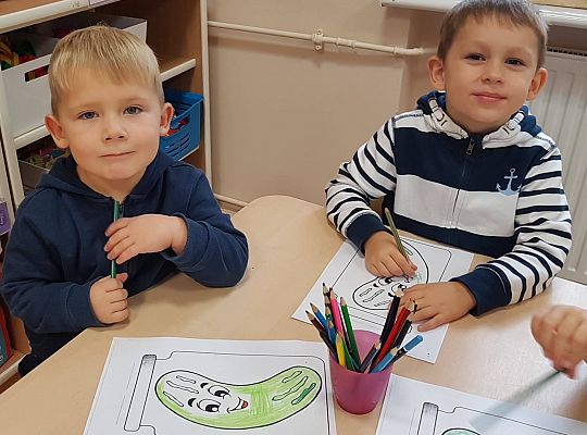 Gr II Ogórek, ogórek zielony ma garniturek