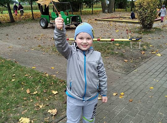 GR III  Jesień w ogrodzie