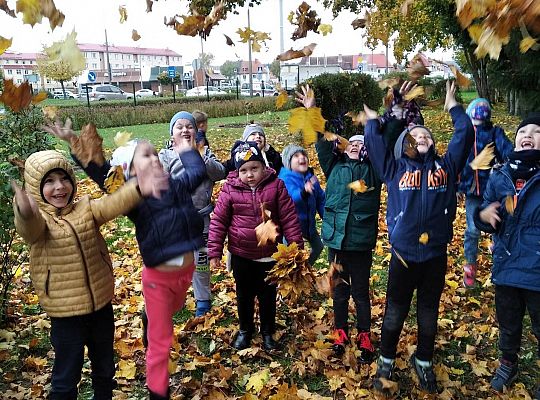 GR III  Jesień w ogrodzie