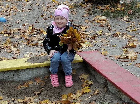 GR III  Jesień w ogrodzie