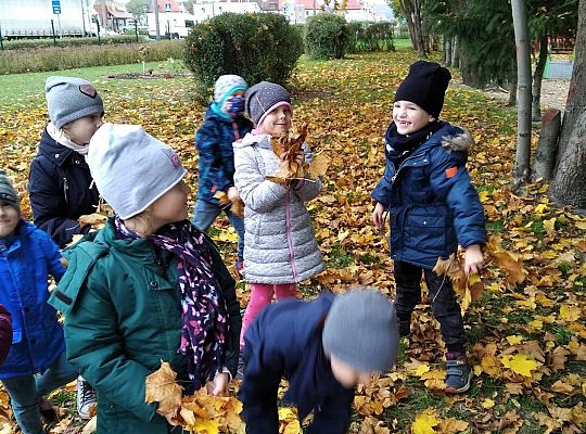 GR III  Jesień w ogrodzie