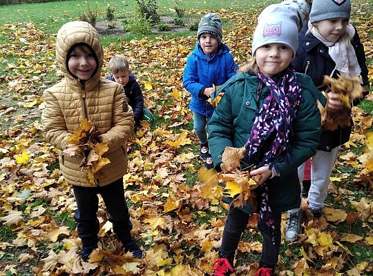 GR III  Jesień w ogrodzie