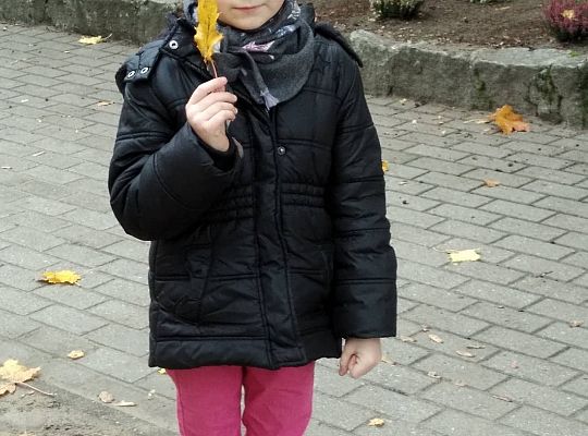 GR III  Jesień w ogrodzie