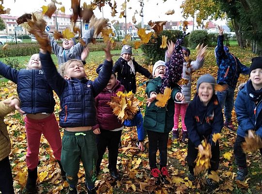 GR III  Jesień w ogrodzie