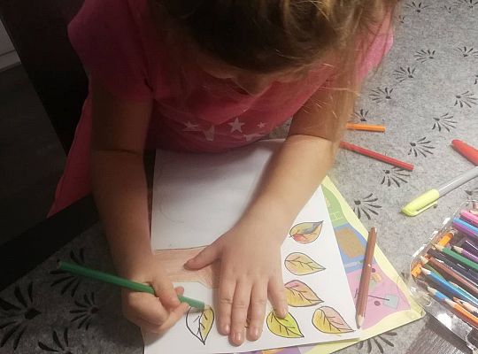 GR IV Praca techniczna "Jesienne drzewa"