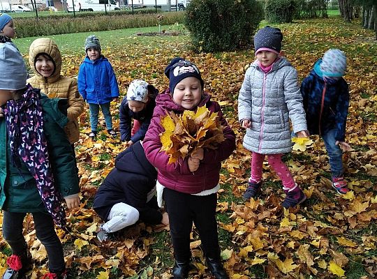 GR III Zapasy wiewiórki - opowieść matematyczna