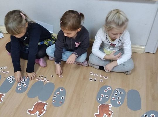 GR III Zapasy wiewiórki - opowieść matematyczna