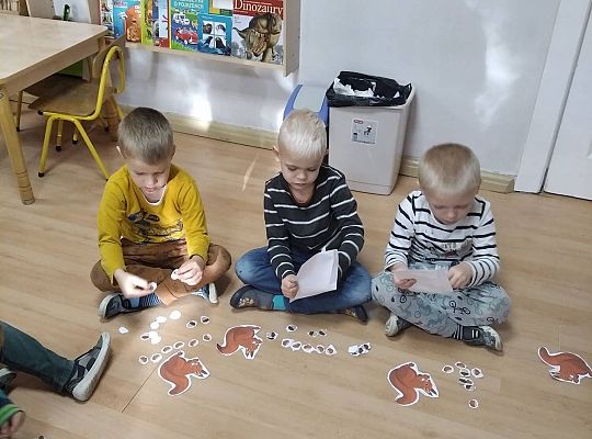 GR III Zapasy wiewiórki - opowieść matematyczna