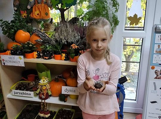 GR III Jeż - lepienie z plasteliny