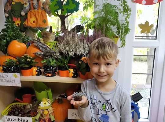 GR III Jeż - lepienie z plasteliny