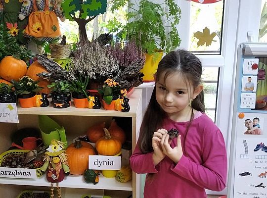 GR III Jeż - lepienie z plasteliny