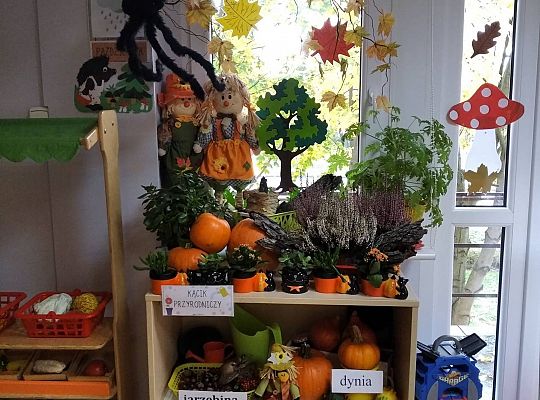 GR III Jeż - lepienie z plasteliny