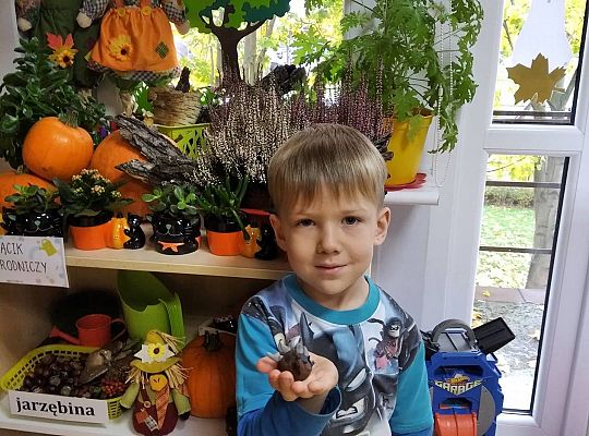 GR III Jeż - lepienie z plasteliny