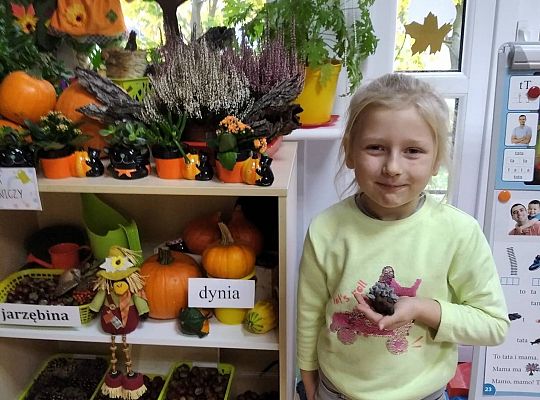 GR III Jeż - lepienie z plasteliny