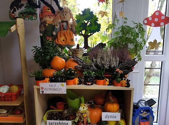 GR III Jeż - lepienie z plasteliny