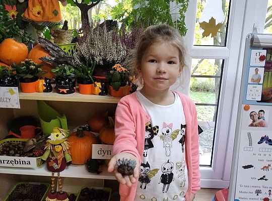 GR III Jeż - lepienie z plasteliny