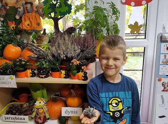 GR III Jeż - lepienie z plasteliny